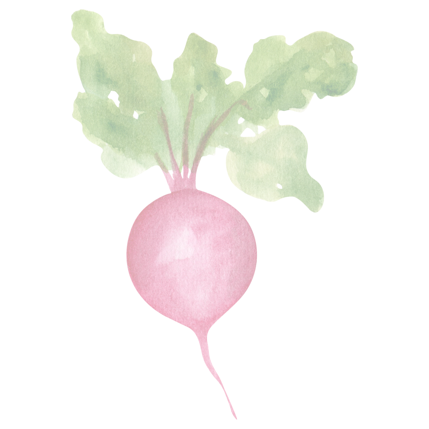 Frutal set (4) Post-it